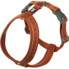 Hurtta Casual Y-Harness ECO, 50–60 cm, Cinnamon Hurtta Casual Y-Harness ECO, 50–60 cm, Cinnamon