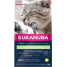 Eukanuba Katt Vuxen Hårbollskontroll 2 kg