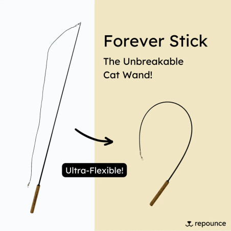 Forever Stick™ - Det Okrossbar Kattspöet av Repounce